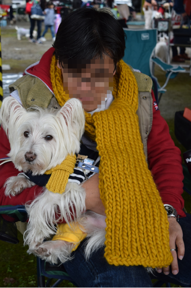 b0242873_00130394.png
