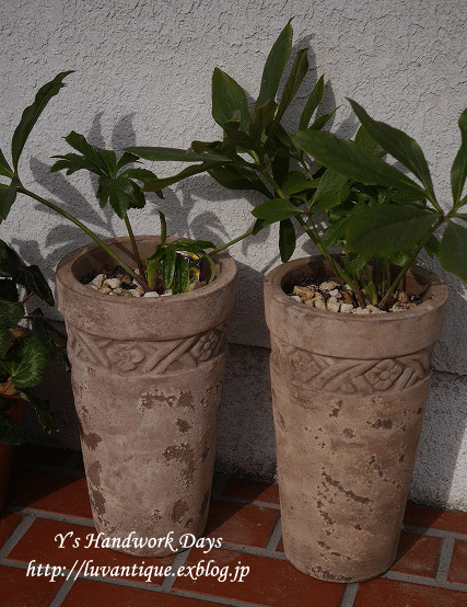 f0330978_13001447.gif