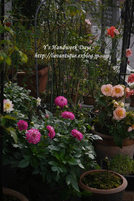 f0330978_13010600.gif