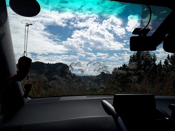 d0149379_08453847.jpg