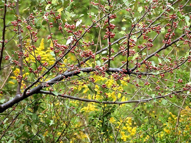 f0378979_17130419.jpg