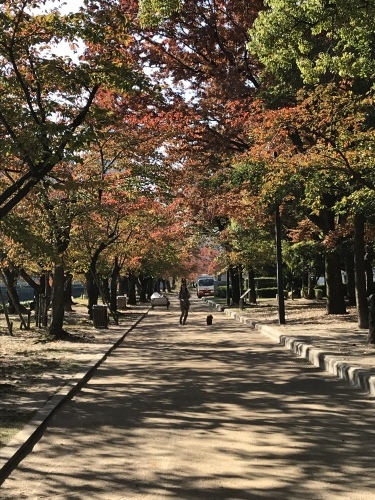 f0315081_21262517.jpeg