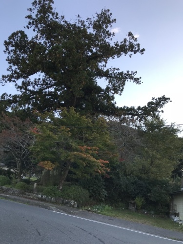 f0315081_21363083.jpeg