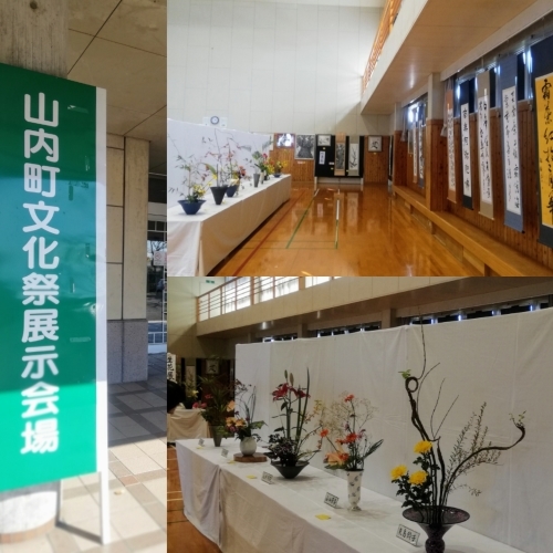 地区の文化祭 _d0195183_00153782.jpg