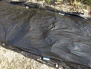 f0003283_08430295.jpg