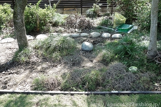 晩秋の庭しごと 低木と宿根草の植えつけ_c0293787_11553575.jpg