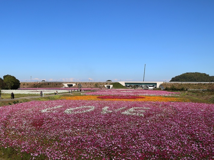 b0175688_22492742.jpg