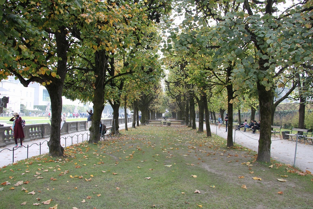 b0177792_11593216.jpg