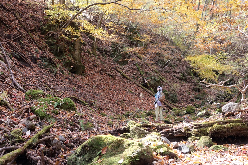 見事！「ソババッケ（1,097ｍ）」の紅葉＃4_c0366392_1633695.jpg