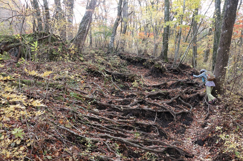 見事！「ソババッケ（1,097ｍ）」の紅葉＃4_c0366392_1653291.jpg