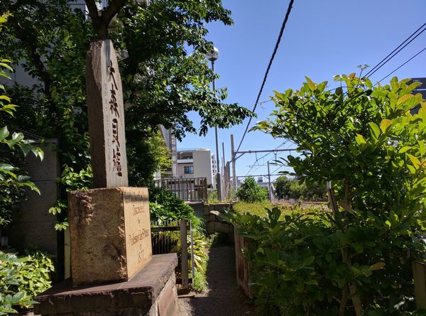 大森貝塚　大森駅から遺跡庭園～史跡巡り_c0361995_23014360.jpg