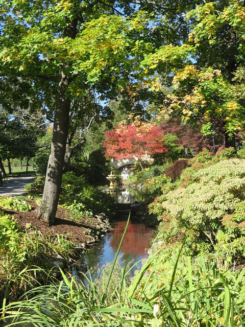 f0346196_15365772.jpg