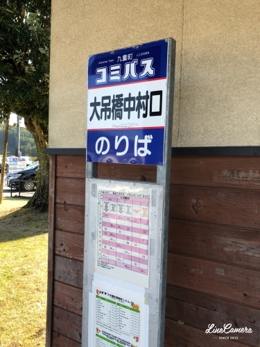 f0056297_12345763.jpeg