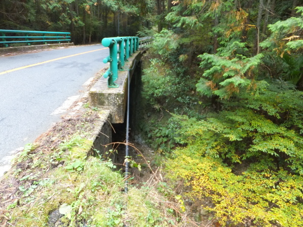 歩こう　橋を見に行こう　（121）　平橋_b0212898_15015636.jpg