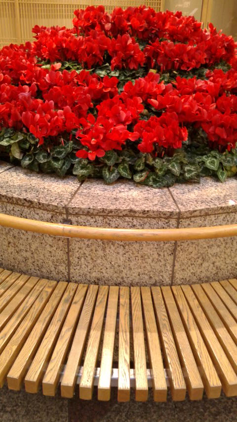 c0177198_5271630.jpg