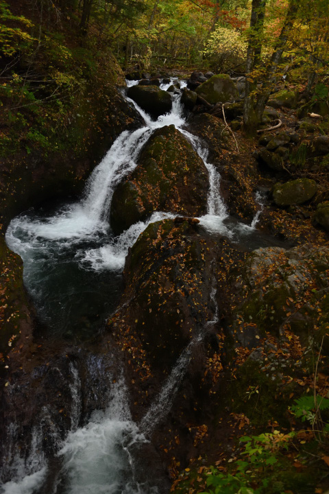 d0363399_17574906.jpg