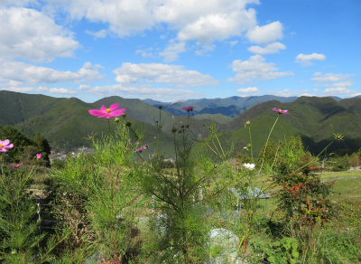 c0125501_13534672.jpg