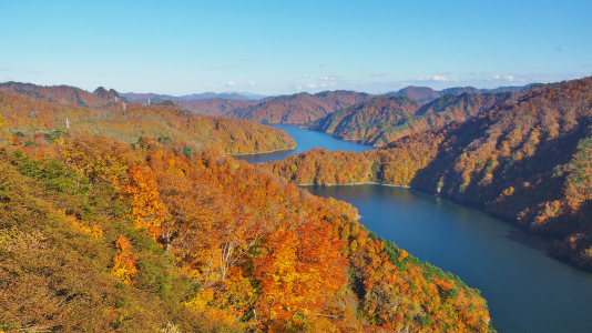 c0336902_19484400.jpg