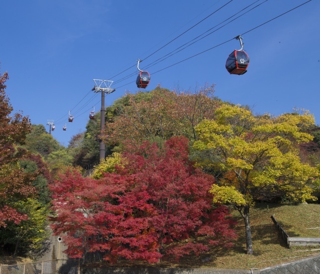 紅葉が色づき始めました。_c0366802_17104169.jpg