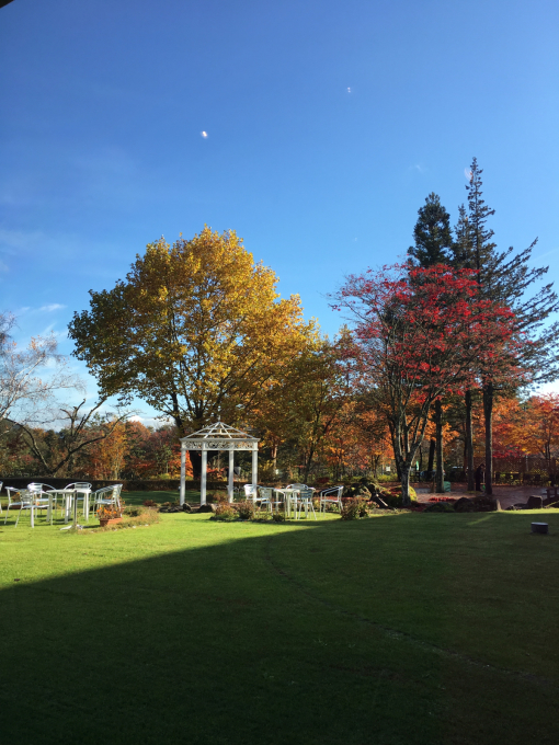 長野県駒ヶ根市から&#127809;&#127809;&#127809;_c0162404_09080624.jpg