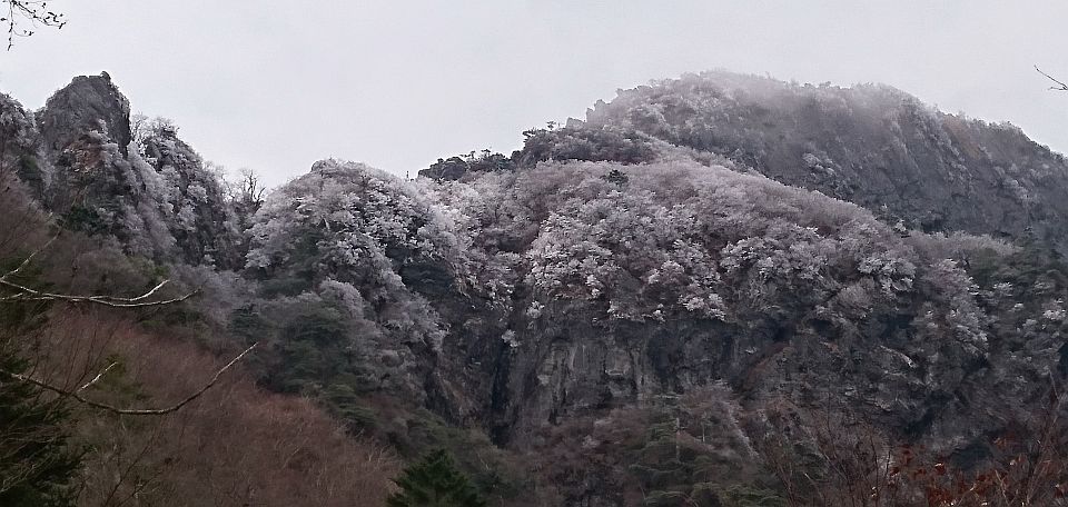 b0172805_20401730.jpg