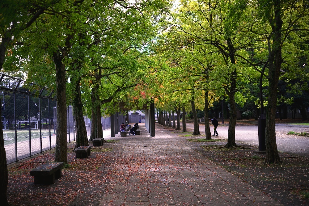 d0376905_19280079.jpg