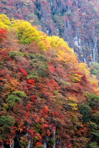 a0263109_16003800.jpg