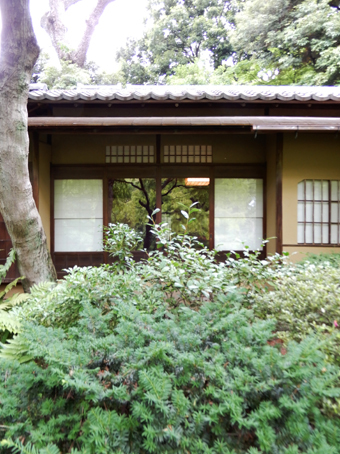 c0195909_15040359.jpg