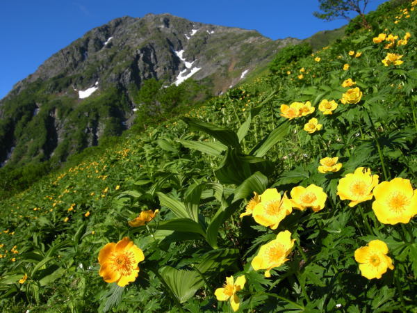 f0196109_22460077.jpg