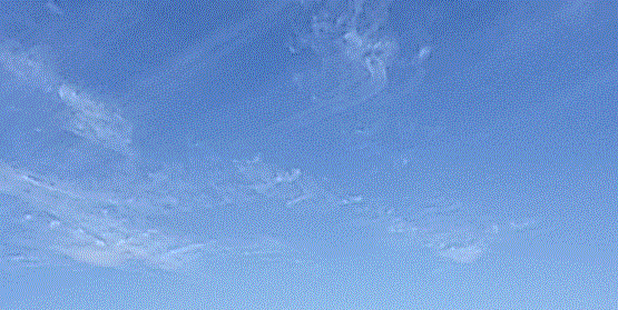 f0231709_20024691.gif
