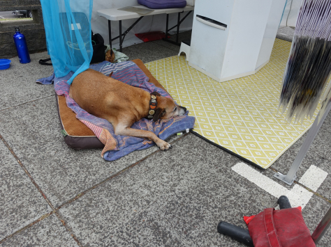 (番外編)メルボルン2日目 さっそく寄り道_b0396913_07470062.jpg