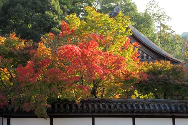 南禅寺　紅葉の始まり_e0048413_20554463.jpg