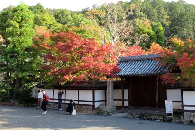 南禅寺　紅葉の始まり_e0048413_20554926.jpg