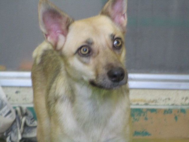 f0078320_21554422.jpg