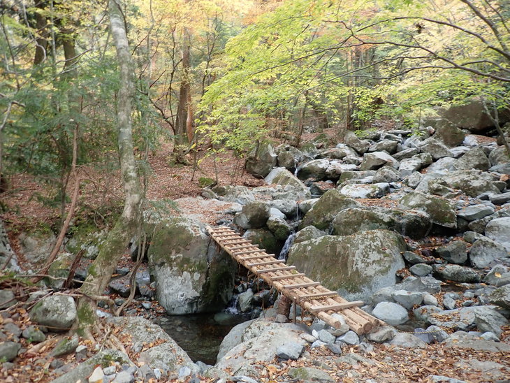 f0193521_5101741.jpg