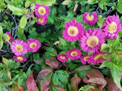 e0016828_09164051.jpg
