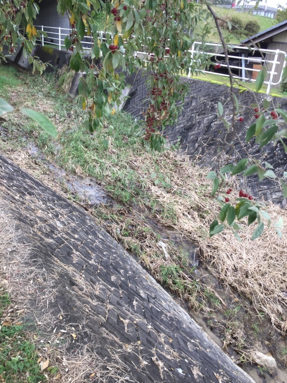 f0076731_15241356.jpeg