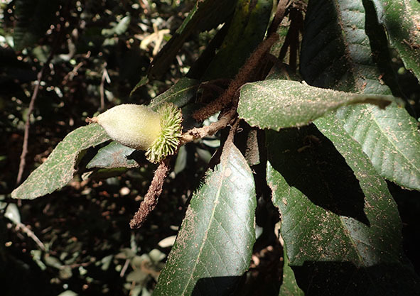 c0177135_21550050.jpg