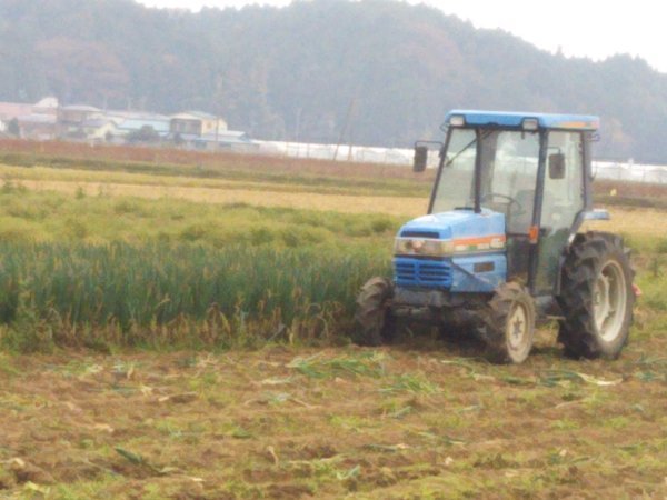 ネギ学_b0297136_15402021.jpg