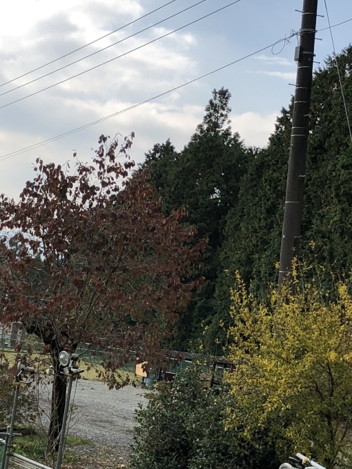 b0369239_12582017.jpg