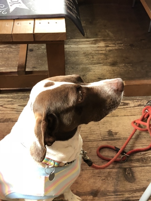 b0369239_12593723.jpeg