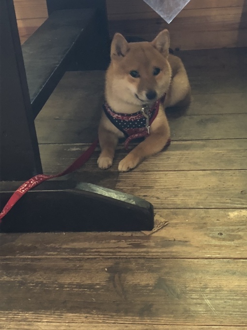 b0369239_12594935.jpeg