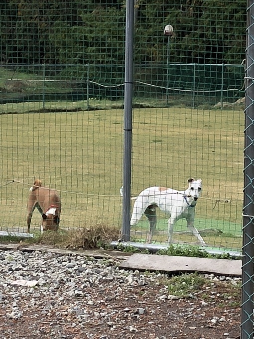b0369239_13023469.jpeg