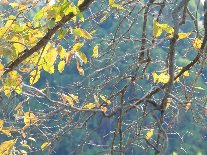 c0281841_00405741.jpg