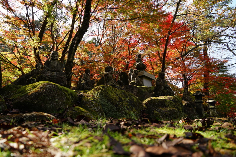 大寧寺の紅葉_c0306845_18071842.jpg