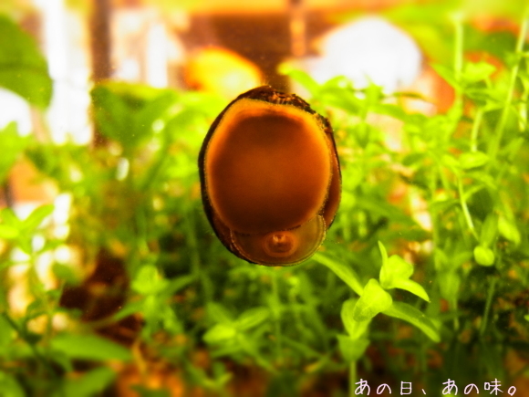 a0305046_09195154.jpg