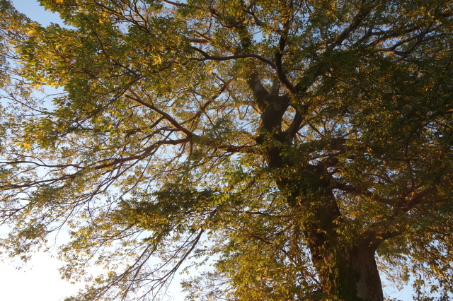 d0101846_07211278.jpeg