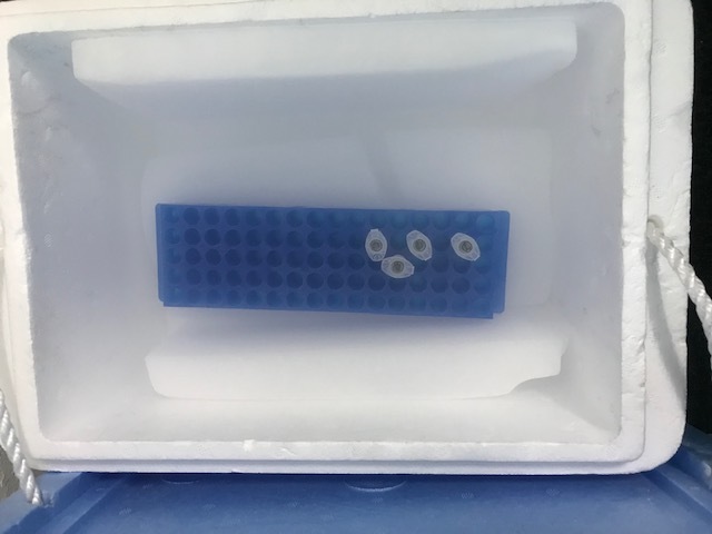 a0151947_15133278.jpeg