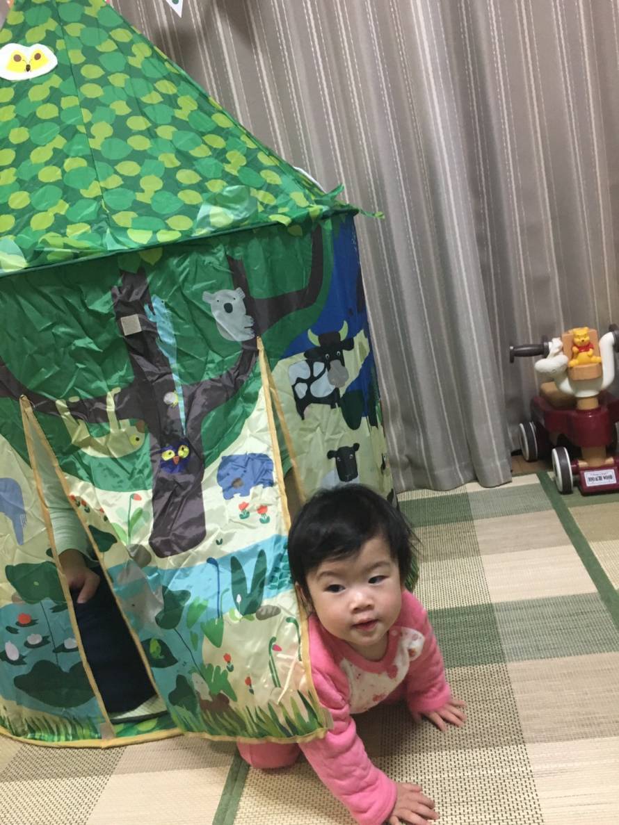 めでたい事は続く_b0062748_11034499.jpg
