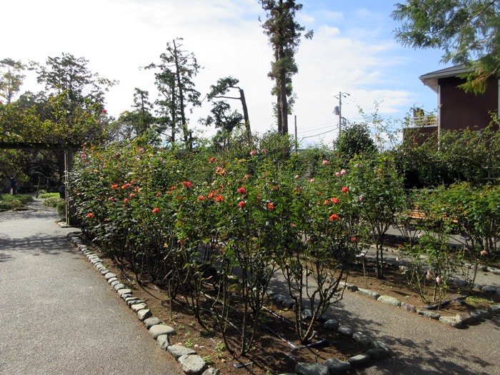 b0009849_10273840.jpg